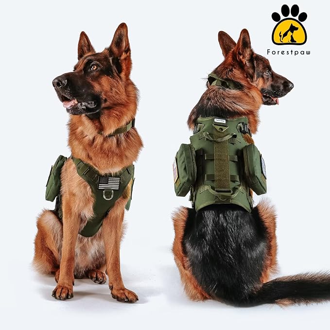 Forestpaw Tactical Dog Harness for Large Dogs,Tactical Dog Collar with Bungee Leash Set,No Pull Military Dog Harness for Walking Training,Adjustable for Medium Large Dogs,Green,Chest 27-40"