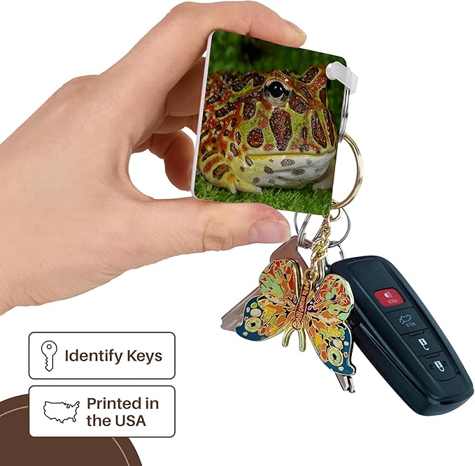 3dRose, High Red Ornate Pacman Frog, Ceratophrys ornate, controlled conditions, Key Chain