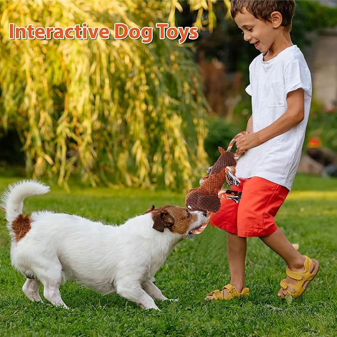 Drmstow Plush Dog Toys with Rope, Squeaker & Crinkle Paper – Interactive Squeaky Chew Toy for Large Dogs & Puppies – Tough Pet Toy for Tug of War, Fetch & Dental Exercise