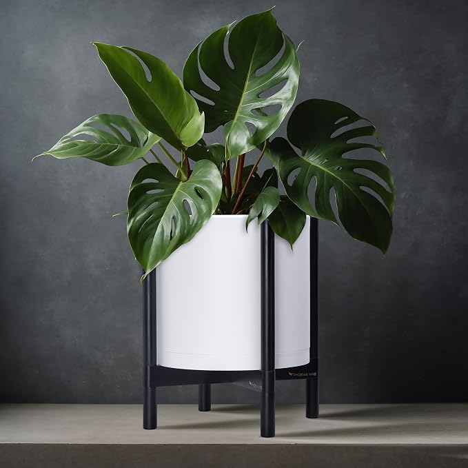 D'vine Dev Plastic Pot with Ebony Wood Stand, White, 12 in, 55-C-Q-1 | Mid-Century Inspired Design, Elevated Plant Display, Clean Lines, Sturdy Support, Modern Space-Saving Style