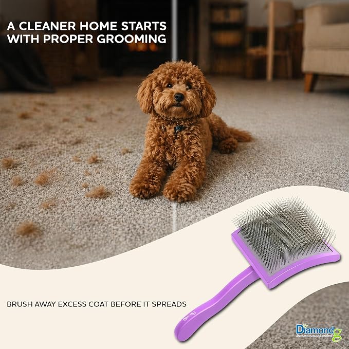Diamondg Pet Slicker Brush for Dogs & Cats – Professional Grooming Brush for Shedding, Detangling & Coat Maintenance, Gentle Fine Wire Pins, Ergonomic Handle, Purple
