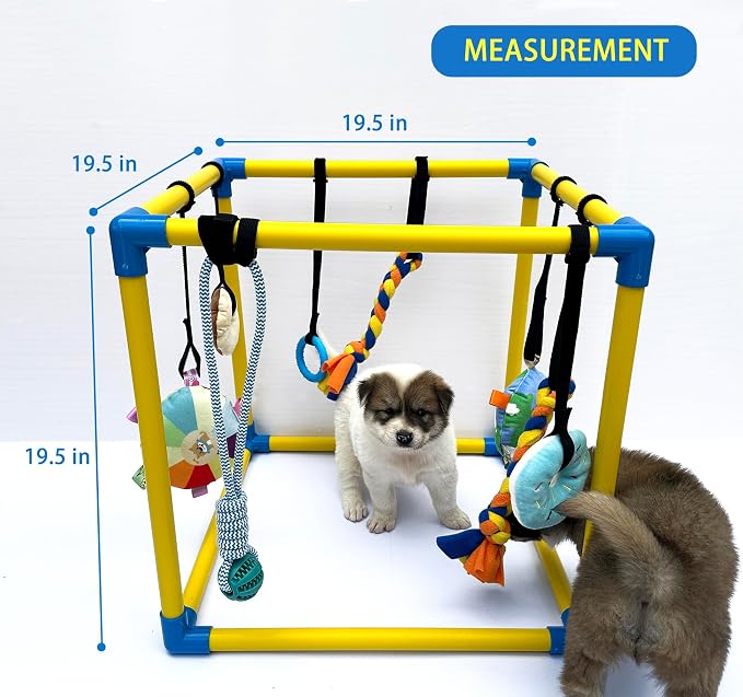 Puppy Play Gym with 8 Hanging Toys, Small Dogs Indoor Enrichment Jungle Gym | PVC Frame with Bungee Straps Playgym Activity Center,with Teething Toys,Fleece Tug Toys,Squeaky Toys,19.5*19.5*19.5in