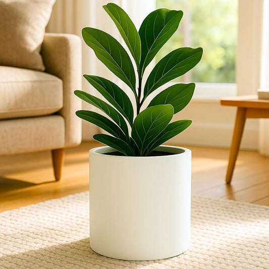 Fox & Fern Large Indoor Planter, Modern Large Plant Pot for Indoor or Outdoor, UV and Frost Resistant - 10 Inch, Matte White Flower Pot with Drainage Plug, Lightweight
