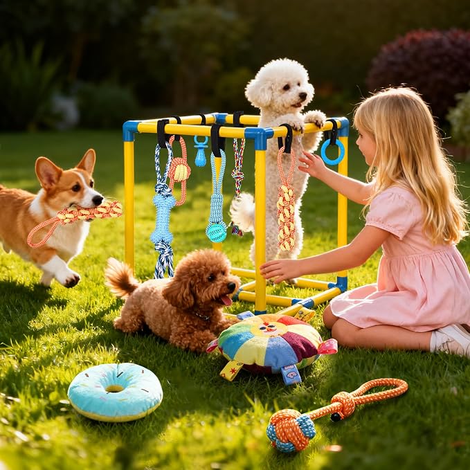 WLLEYAY Puppy Play Gym for Small Dogs 10 Hanging Toys,Interactive Dog Toys | Removable Indoor Jungle Gym,PVC Frame With Adjustable Bungee Straps, Interactive Tug Toys,Dogs Rope Toy To Keep Them Busy
