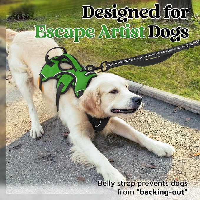 rabbitgoo Escape Proof Dog Harness for X-Large, No Pull with Lift Handle | No Escape, Full Soft Padded, Reflective Adjustable Vest, Leash Clip for Walking Hiking Training, Green, X-Large