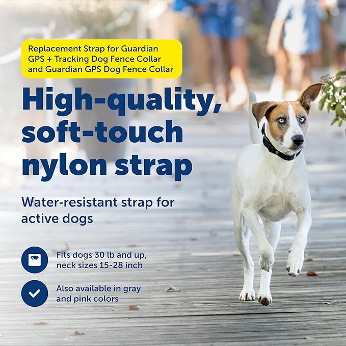 PetSafe Replacement Strap for Guardian GPS + Tracking Dog Fence Collar & Guardian GPS Dog Fence Collar - Soft Touch Material - Waterproof Material - Adjustable - Durable Design - Black