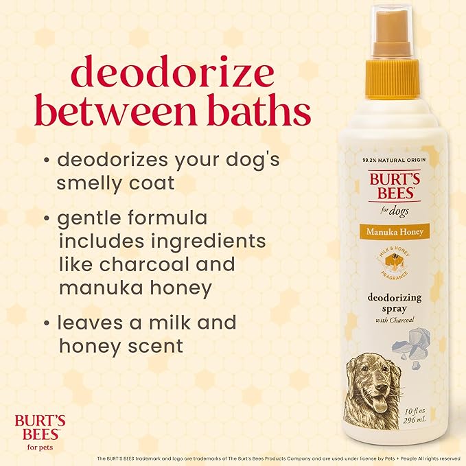 BURT'S BEES FOR PETS Deodorizing Spray for Dogs, Manuka Honey & Charcoal, Reduces Odor Between Baths, 95%+ Natural Origin, No Artificial Fragrance, Sulfates or Colorants, Milk & Honey Scent, 10 Fl Oz