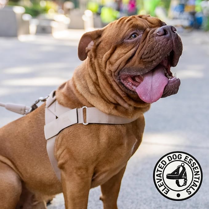 Dog Friendly Co. Dog Harness for Large Dogs (Brown, Large) | One Click Buckle, Chafe Resistant Webbing, Adjustable Neck & Chest, and Heavy Duty D-Ring, Sturdy Comfortable and Easy to Use