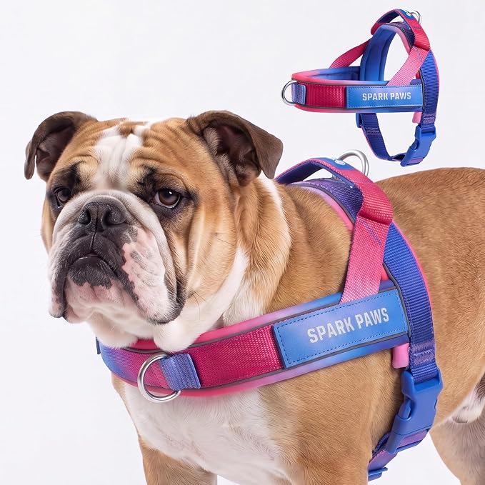 Spark Paws No Pull Front Clip Dog Harness - Easy On, Padded and Lightweight | Two Clips, On in Seconds, Chest Bearing, Australian Style, No Throat Pressure, for Small Medium and Large Breeds