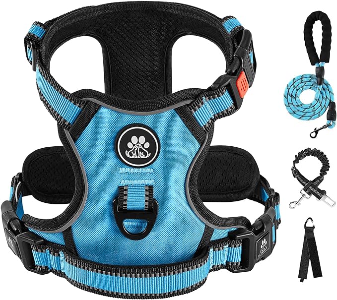 IVY&LANE No Pull Dog Harness for Small Dogs, Dog Vest Harness with Leash, Safety Belt and Storage Strap, Fully Adjustable Harness, 360° Reflective Strip, Soft Handle (Blue, S)