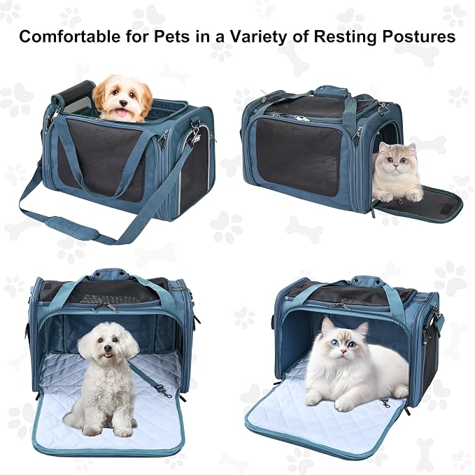 EliteField Deluxe Soft Pet Carrier for Cats and Dogs (3-Year Warranty) | Airline Approved, Waterproof Fabric, Scratch-Resistant Mesh, Expandable Mat, Built-In Leash, Suitcase Sleeve, Seat Belt Loops