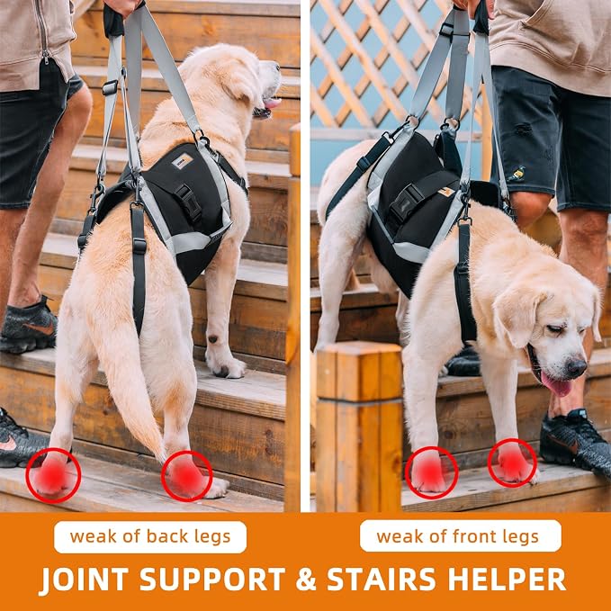 Dog Lift Harness for Large Dogs,Full Body Dog Sling Carrier, Blue, XL | Help Support Big, Elderly Pet with Arthritis, Front/Rear Legs Assistance with Handle, for Lifting Injured Dogs Up Stairs