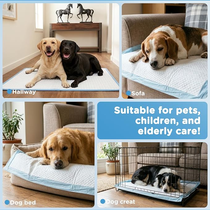 iweepet 4XL Puppy Pads 36"x51" 40 Count, Pee Pads for Large Dogs & Multi-pet Families, Ultra Absorbent & Quick-Dry, Disposable Pet Training Pads for Doggie, Cat , Leakproof Incontinence Underpads