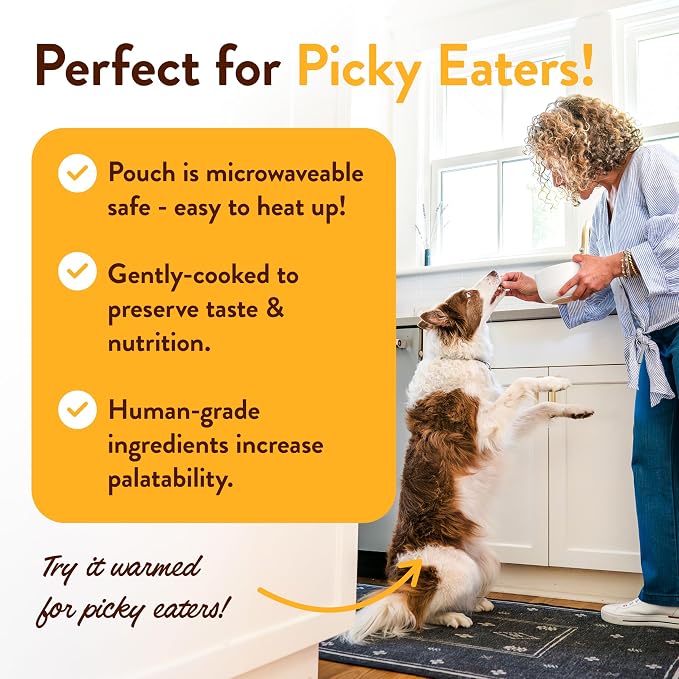 Portland Pet Food Company Fresh Dog Food Pouches - Human-Grade Toppers Wet Meal & Mixers - Grain-Free, Limited Ingredient Hopkin's Pork N’ Potato - Small & Large Breed Puppy & Senior Dogs - 5 Pack