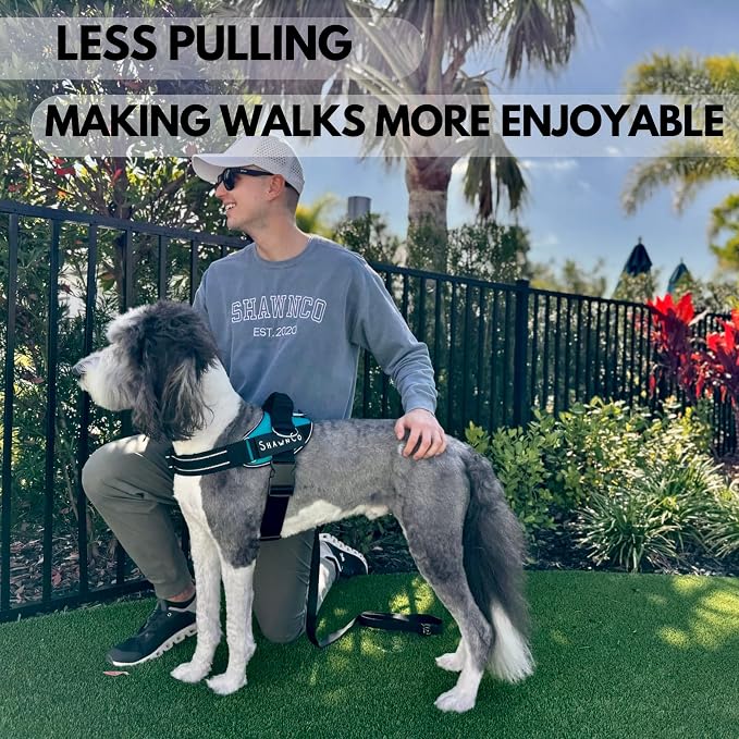 ShawnCo Essential Pro Dog Harness, No-Pull Pet Vest with 3 Leash Clips and Removable, Reflective Side Patches, Adjustable and Padded Harness for Small, Medium and Large Dogs (Electric Blue, XL)