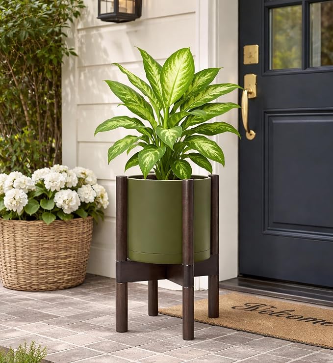 D'vine Dev Plastic Pot with Walnut Wood Stand, Olive, 8 in, 55-C-I-3 | Mid-Century Inspired Design, Elevated Plant Display, Clean Lines, Sturdy Support, Modern Space-Saving Style