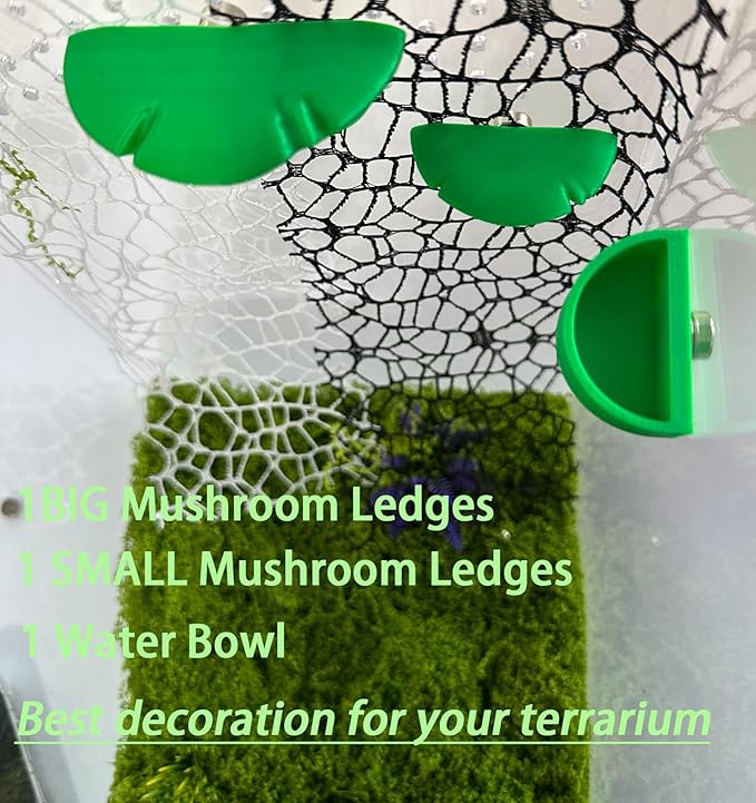 2 Pack Jumping Spider Accessories Mushroom Ledges & 1 Pack Water Bowl with Magnets for Spoods Jumping Spiders Magnetic Ledge Ladder Pet Spider Accessories