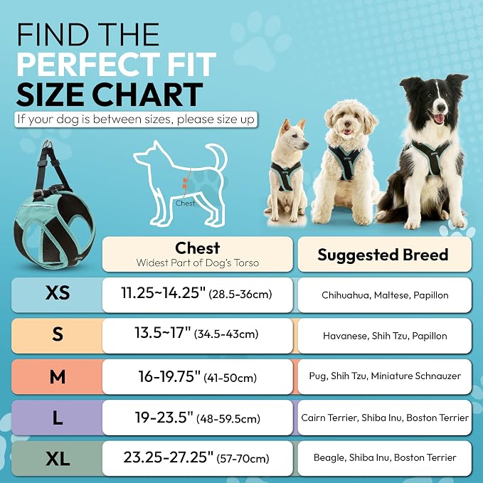 Gooby Escape Free Easy Fit X Step-in Dog Harness, Seattle Blue, X-Large | Patented escape-free, tightens on back-out; Choke-free X-frame + V-neck; Quick-release buckle; Reflective trim