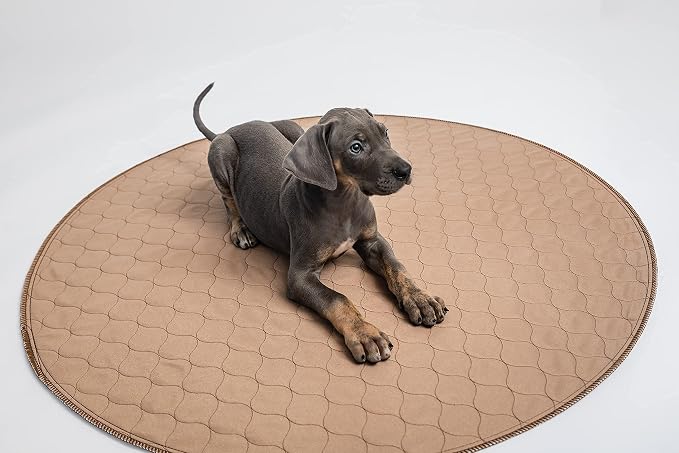 Reusable Dog Pee Pad, Washable Waterproof Round 36 in Mat, 1 Pack | 36-inch round washable waterproof pee pad, reusable slip-resistant mat for dog potty training and whelping with quick-dry
