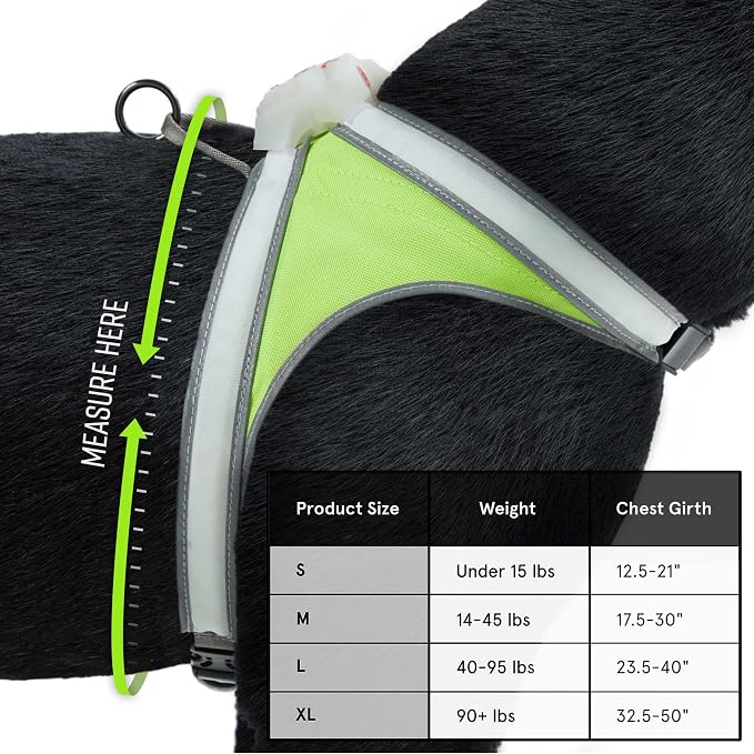 noxgear LightHound Light Up Reflective Dog Harness and Leash, Large | 360° Light Up Reflective Dog Harness, 8 Colors & 6 Modes, USB Rechargeable, Adjustable, Rainproof, LED Fiber Optic
