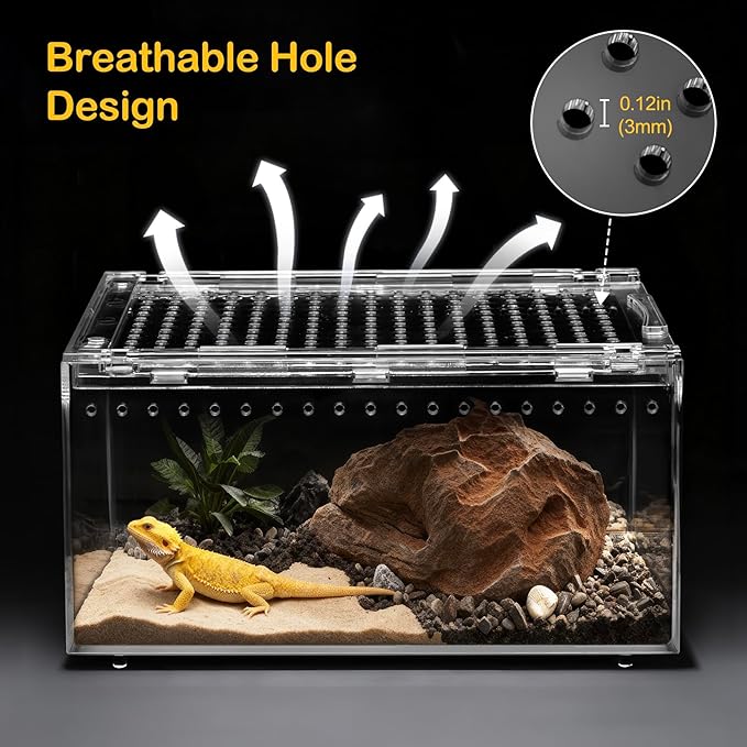 XLarge Reptile Terrarium Kit,Escape Proof Tarantula Enclosure,PC Starter Hermit Crab Tank,Spider Habitat for Praying Mantis Cage,Insect Housing,Lizard,Gecko Container,Bearded Dragon Vivarium