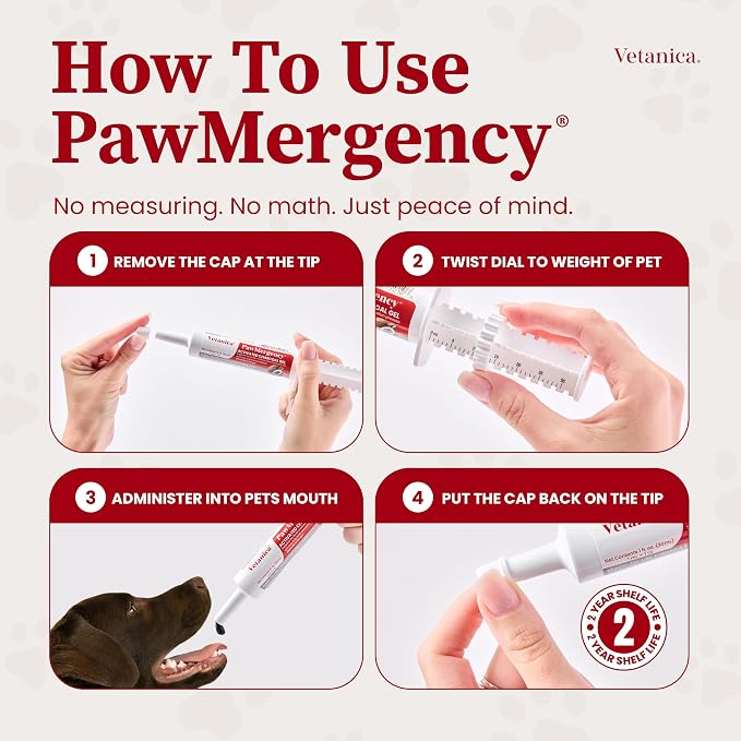 PawMergency – Activated Charcoal First Aid Kit Emergency Rescue for Dogs, Cats, Puppy & Pet Poison Kit, Camping Survival Remedy Essential,Oral Anti Diarrhea Digestive Paste Ready Absorb Toxins