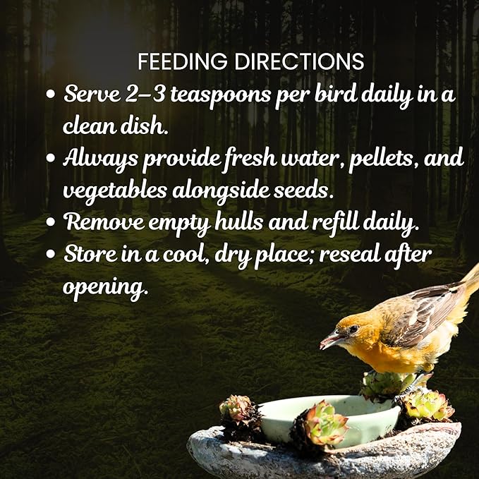 Danodia's Zoolulu Premium Conure Energy Millet Mix (450g/1 lbs) | Bird Food Blend for Conures, Quakers, Cockatiels & Lovebirds | Daily Healthy Nutrition