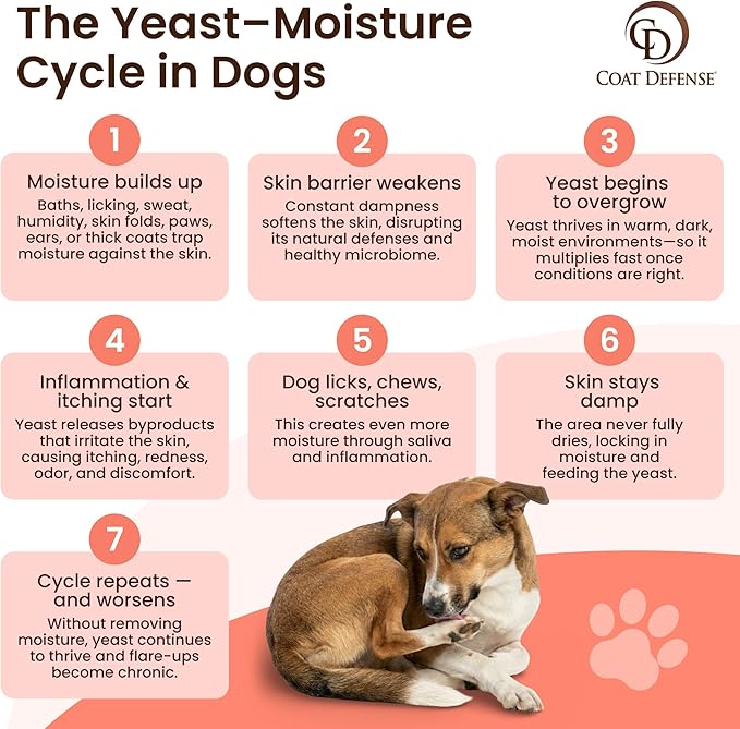 COAT DEFENSE Paw Licker Bundle | Daily Preventative Powder & Shampoo for Allergies and Itching | Yeast Infection Treatment for Dogs | Dog Shampoo Itchy Skin Relief | Dry Shampoo Yeast Powder for Dogs