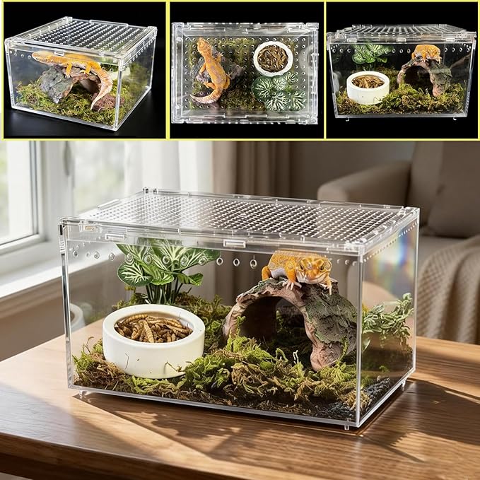 Reptile Terrarium Gecko Tank Tarantula Enclosure Acrylic Spider Terrarium Hermit Crab Tank for Scorpion Insect Isopods Invertebrates Insect (Small)