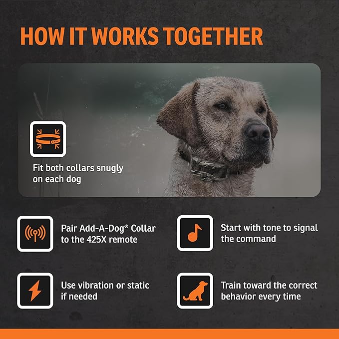 SportDOG Brand WetlandHunter 425X Camouflage Dog Static Collar with Remote and Add-A-Dog Collar - 500 Yard Range Remote Trainer - Rechargeable Dog Training Collar with Static, Vibrate, and Tone