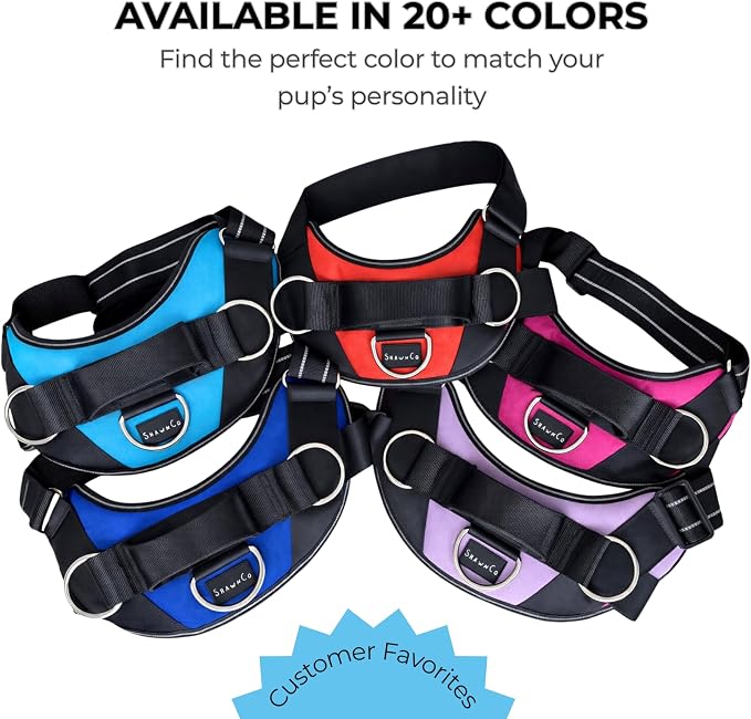 ShawnCo Essential Dog Harness, No-Pull Pet Vest (Moonglow,L) | 3 Leash Clips, Easy On, No-Choke, Reflective, Adjustable Fit, Padded Comfort, Control Handle, For Small, Medium & Large Dogs