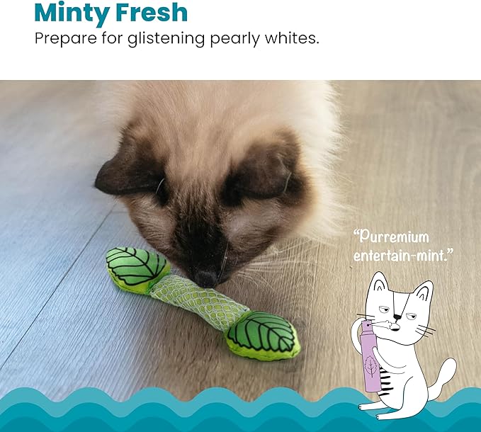 Petstages Fresh Breath Mint Stick Dental Cat Chew Toy & Dental Kitty Chew Wheel Catnip Cat Toy