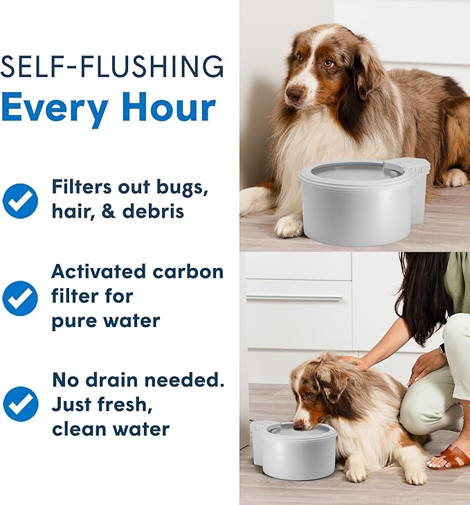 Always Full® 7" Self-Refilling Cat Water Bowl with Wall Unit | Self-refilling filtered water with app-enabled hydration monitoring; easily upgradeable to the Always Full® Wall Unit.