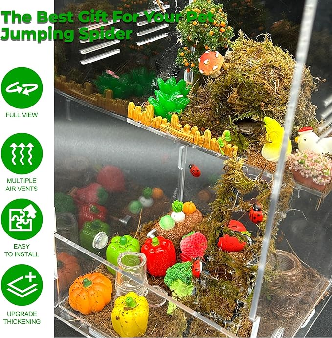 Jumping Spider Enclosure,DIY Insects Habitat,Small Reptile Terrarium Glass House Accessories Set,with Temperature and Humidity Detector Water Feeder Platform Hide,5.5“x5.5”x9.5“ (Farm)