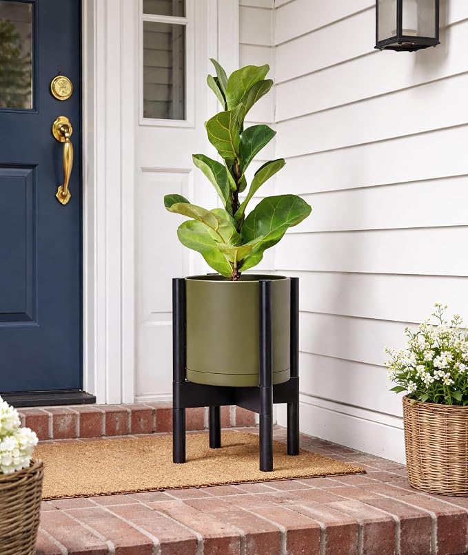 D'vine Dev Plastic Pot with Ebony Wood Stand, Olive, 8 in, 55-C-K-3 | Mid-Century Inspired Design, Elevated Plant Display, Clean Lines, Sturdy Support, Modern Space-Saving Style