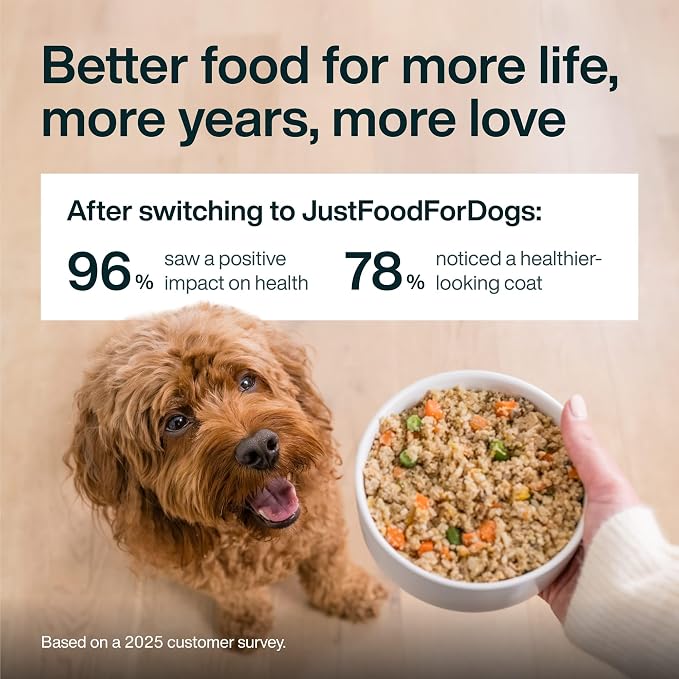 JustFoodForDogs JustFresh Wet Dog Food, Fresh Pet Meals and Toppers with No Preservatives, Resealable Package, Human Grade, Home-Cooked Chicken & Turkey, 12 oz - 14 Pack