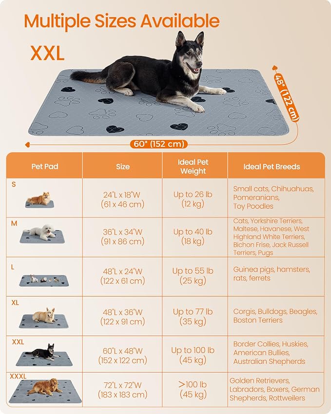 Feandrea Washable Dog Pee Pads, 2 Pack, Reusable Dog Pads, 60 x 48 Inches, XXL, Waterproof Pet Training Pads, Leakproof, Non-Slip, Super Absorbent, Gray UPTD048G01