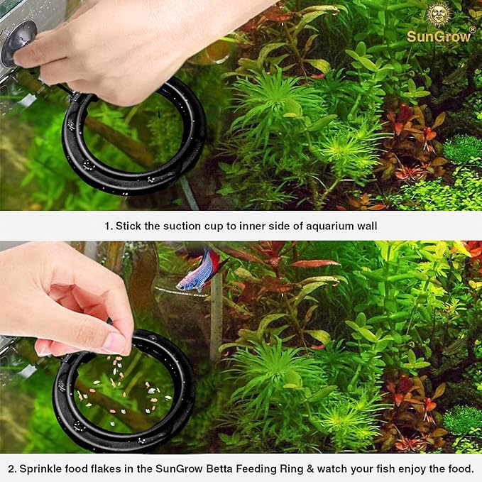 SunGrow Betta Feeding Ring, Prevent Water Turbulence from Washing Food into Filter, Practical Round Floating Food, Suitable for Guppy, Goldfish and Other Small Fish (3 Feeding Rings)