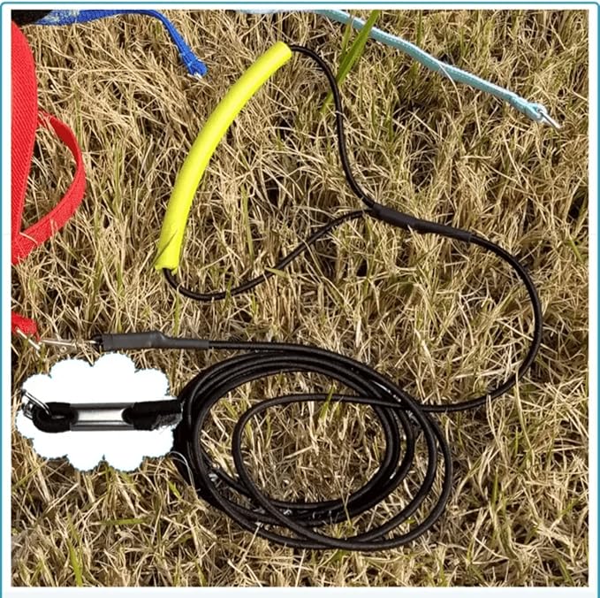 Pet Parrot Bird Harness Leash Adjustable Bird Flying Harness Traction Rope with Cute Wing for Parrots Pigeons Budgerigar Lovebird Cockatiel Mynah Outdoor Training Toy (L, Blue)