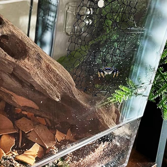 6 Pack Tarantula Enclosure Accessories Jumping Spider Habitat Accessories with 16pcs Magnets Spider Terrarium Decoration Praying Mantis Habitat Jumping Spider Climbing Mesh (Black)