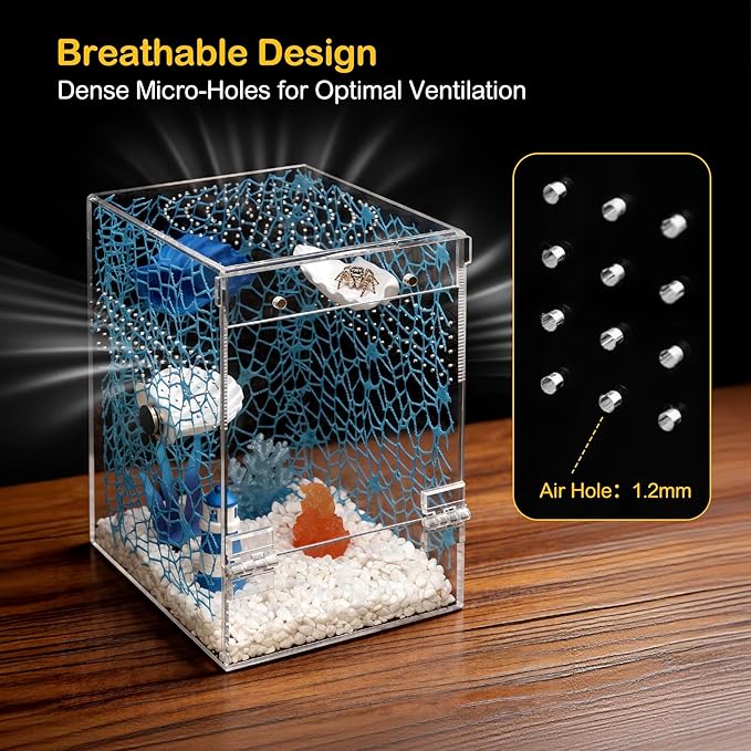 Large Jumping Spider Enclosure Kit,Escape Proof Reptile Tank,Praying Mantis Terrariums,Transparent Acrylic Bug Habitat,Arboreal Tarantula Cribs Cage,Insect Starter Container,Critter Keeper Sea