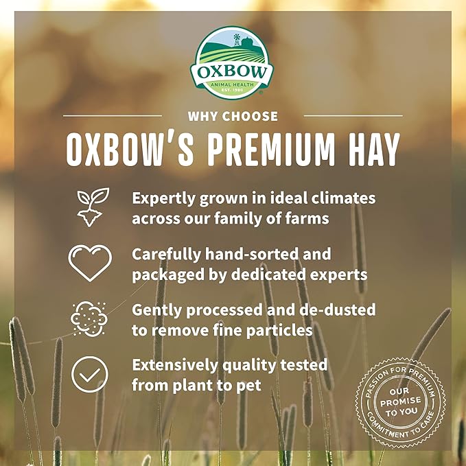 Oxbow Timothy Hay, Rabbit & Guinea Pig Hay, High Fiber for Digestive Health, Grown in the USA, Veterinarian Recommended Small Pet Supplies, for Rabbits, Guinea Pigs, & Chinchillas, 15 oz. (Pack of 2)