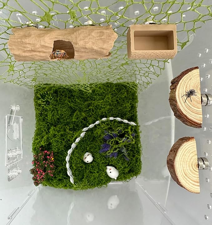 6Pcs Jumping Spider Accessories Set,Tree Jumping Spider Climbing Toy with Cave, Jumping Spider Feeder,2 Wooden Platforms and 2 Green Moss Ribbons,Small Reptile Enclosure Decoration Accessories
