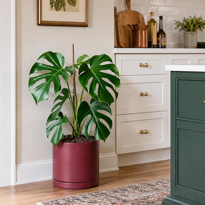 D'vine Dev 10 Inch Ceramic Planter Pot, Cordovan, 94-O-E-4 | Modern Cylinder Design, Drainage Hole & Saucer Included, Stable Structure, Elegant Home Accent