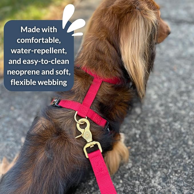 Adventure Dog Harness - Stylish and Durable Large Dog Harness for Outdoor Adventures and Everyday Wear - Red Neoprene Adjustable Harness for Dogs with Reflective Piping, Solid Brass D-Ring