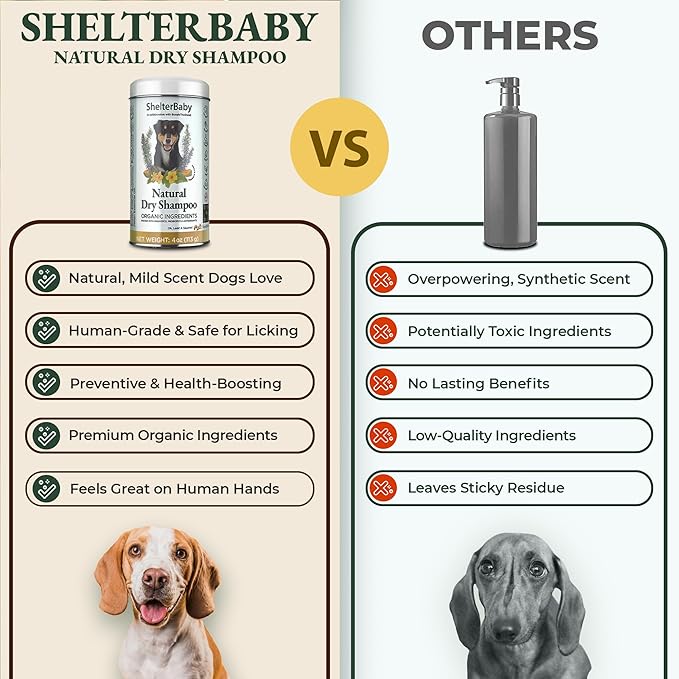 Dry Shampoo for Dogs – Antifungal Itchy Skin & Hot Spot Relief, Yeast Infection & Paw Licking Treatment, Dog Powder with Allergy Support