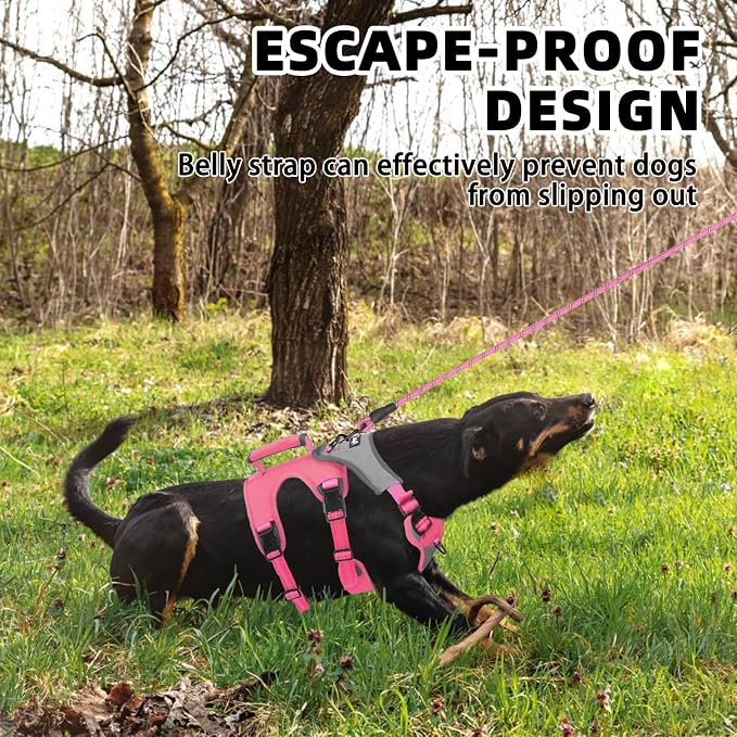 PUPTECK Escape Proof Dog Harness and Leash Set Upgraded No Pull Reflective Dog Vest with Lift Handle, Easy Control Pet Harness for Medium Large Dogs Training Walking Running, Fuchsia, L