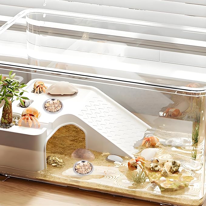 SynHHergyx 4 Pcs Hermit Crab Food & Water Bowl, Small Stainless Steel Feeding Dish for Hermit Crab, Snail, Gecko, Insect
