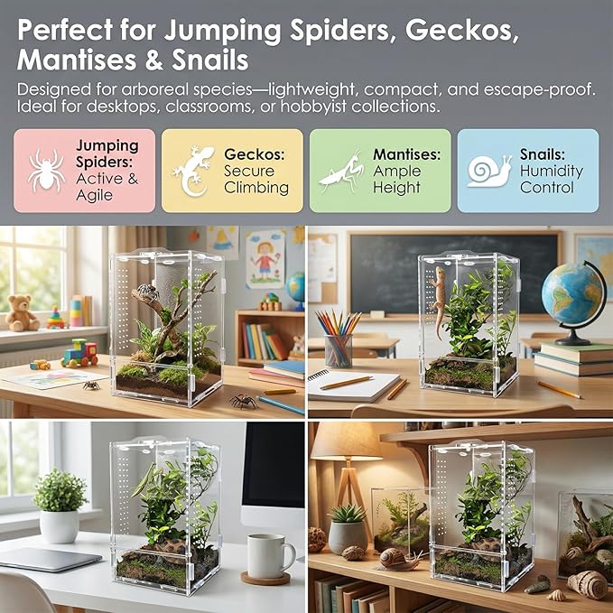 Acrylic Jumping Spider Enclosure: Tarantula Enclosure with Door Lock for Gecko Praying Mantis Snail - Front Opening Arboreal Reptile Terrarium Dual-Side Ventilation Bug Habitat for Desk Decor