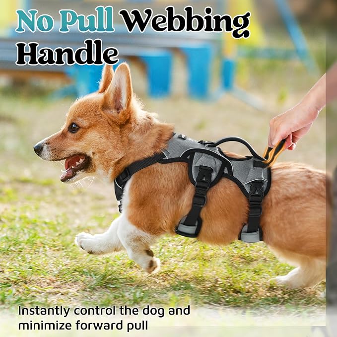 rabbitgoo Escape Proof Dog Harness for Small, No Pull with Lift Handle | No Escape, Full Soft Padded, Reflective Adjustable Vest, Leash Clip for Walking Hiking Training, Grey, Small